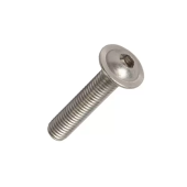 Винт с пресс-шайбой 6х10 сталь A2  DIN9335