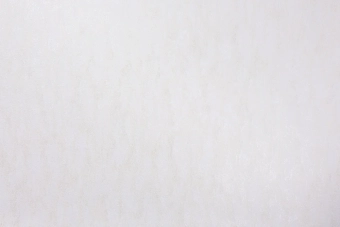 Виниловые обои на флизелиновой основе LS Rains ДХС-1588/5 бежевый 10,05 x 1,06 м