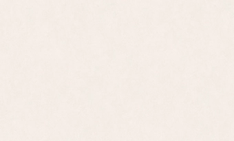 Виниловые обои на флизелиновой основе WALLSECRET  BONSAI 9157-12