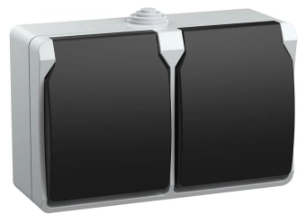 Розетка 2-местная  РСб22-3-ФСр с заземлением с крышкой  ФОРС IP54 IEK