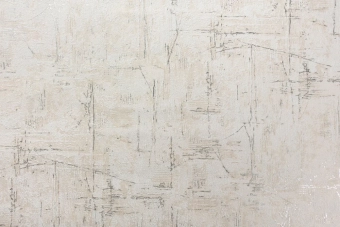 Виниловые обои на флизелиновой основе LS Carrera ДХV-1597/3 темно-песочный 10,05 x 1,06 м