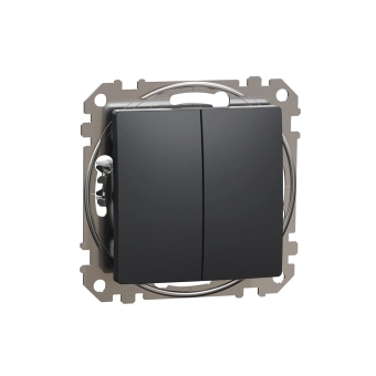 Двойной выключатель Schneider-Electric SDD114105 sedna 10 A 250 В антрацит