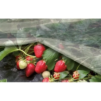 Агроволокно укрывное Agreen 19 гр/м2  3,2*10 м (32 м2) 