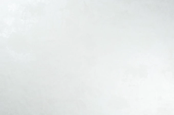 Виниловые обои горячего тиснения LS  ЭШТ 1-1661 Sonya молочный 10,05 x 1,06 м