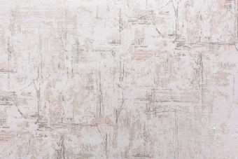 Виниловые обои на флизелиновой основе LS  ДХV 1597/4 Carrera  бежевый 10,05 x 1,06 м