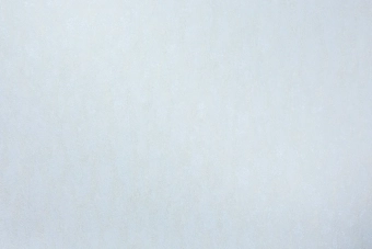 Виниловые обои на флизелиновой основе LS  ДХС 1588/4 Rain мятный 10,05 x 1,06 м