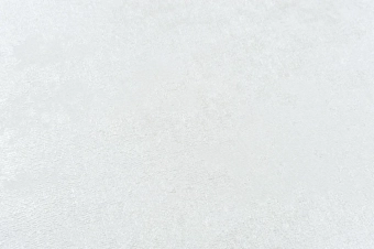 Виниловые обои горячего тиснения LS  ЭШТ 1-1661 Sonya молочный 10,05 x 1,06 м