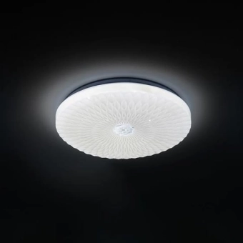 Светильник для потолка RADIUS-48 48 Вт LED 6400 K 180-265V IP20 белый Horoz