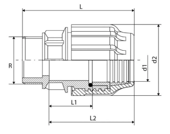 Муфта компрессионная с наружной трубной резьбой PN16 Ø20x3/4” для ПНД (PE) труб RTP