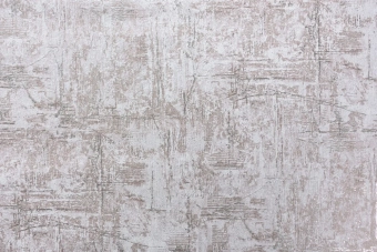 Виниловые обои на флизелиновой основе LS   ДХV 1597/5 Carrera коричневый 10,05 x 1,06 м