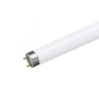 Лампа люминесцентная 36W T8/G13 6500K OSRAM/RADIUM