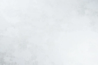 Виниловые обои горячего тиснения LS ЭШТ 2-1661 Sonya  серый 10,05 x 1,06 м