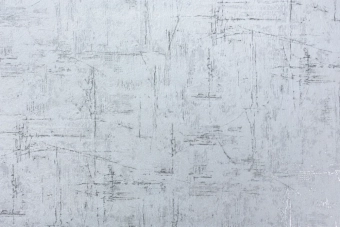 Виниловые обои на флизелиновой основе LS Carrera ДХV-1597/2 серо-сизый 10,05 x 1,06 м