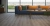 Ламинат Kastamonu Floorpan Orange, Дуб Сан-Марино – FP953, 1380x195x8 мм, 32 класс Ламинат Kastamonu Floorpan Orange, Дуб Сан-Марино – FP953, 1380x195x8 мм, 32 класс